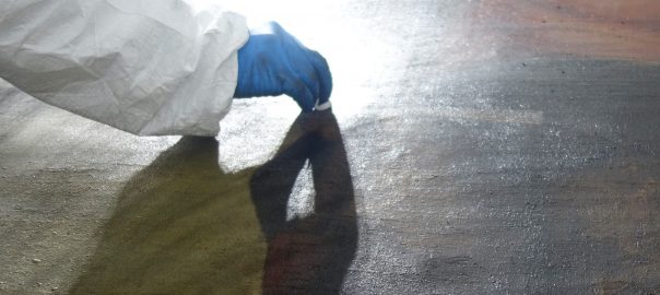 Restaurierung Gemälde-karton-Reinigung-Restaurierung